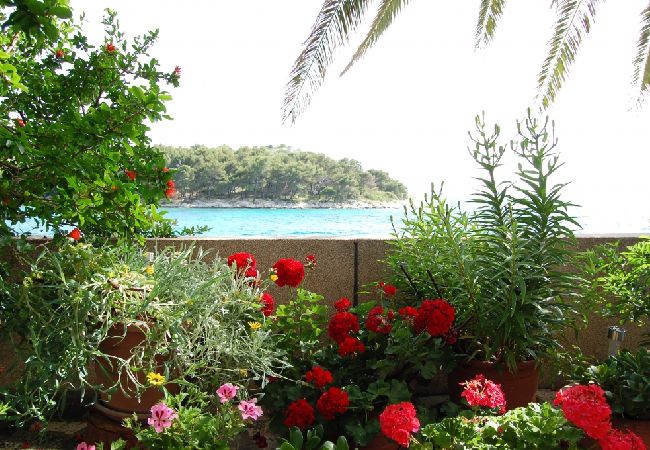 Appartement à Tribunj - Appartement dans Tribunj avec vue mer, terrasse, Climatisation, WIFI (3348-2) Appartement à Tribunj - Appartement dans Tribunj avec vue mer, terrasse, Climatisation, WIFI (3348-2)