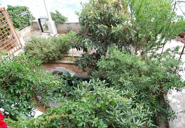 Appartement à Tribunj - Appartement dans Tribunj avec vue mer, terrasse, Climatisation, WIFI (3348-2) Appartement à Tribunj - Appartement dans Tribunj avec vue mer, terrasse, Climatisation, WIFI (3348-2)