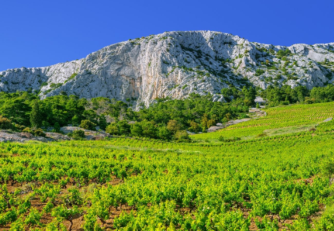 Appartement à Sucuraj - Appartement dans Sućuraj avec vue mer, terrasse, Climatisation, WIFI (3354-1)