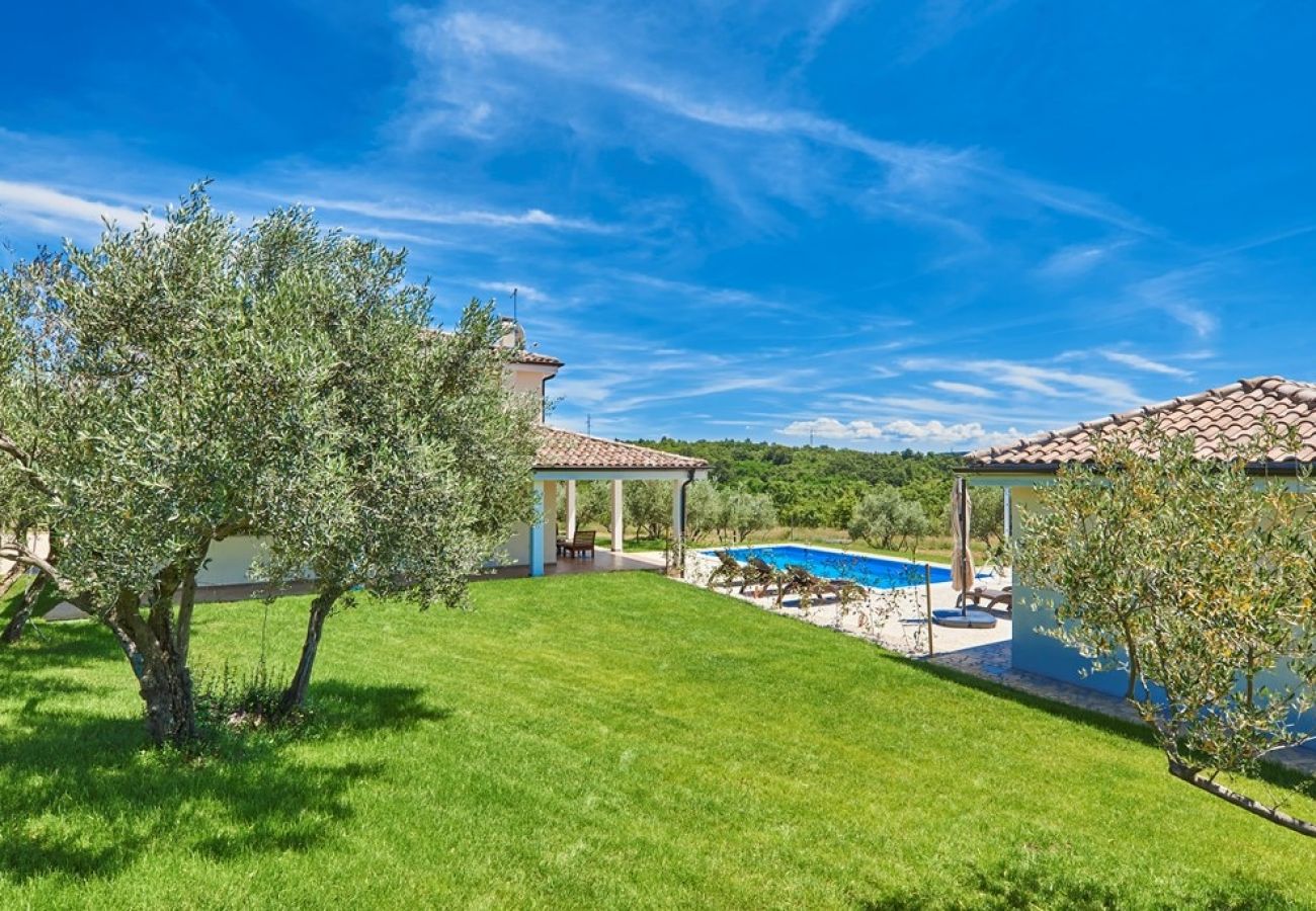 Maison à Buje - Maison de vacances dans Buje avec terrasse, Climatisation, WIFI, Machine à laver (3356-1)