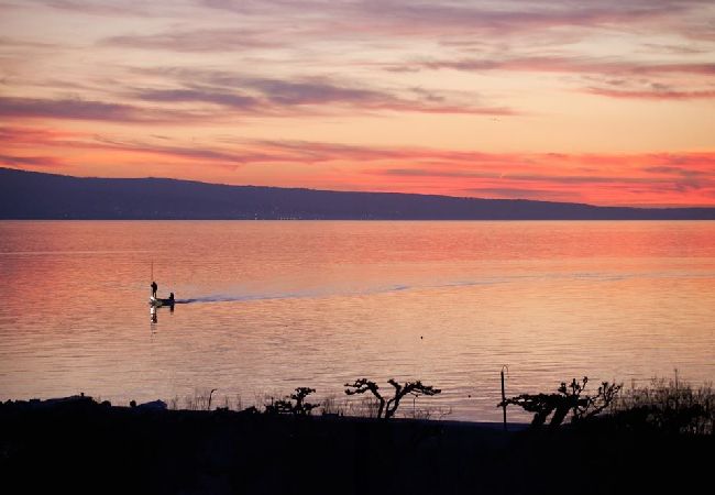 Appartement à Duce - Appartement dans Duće avec vue mer, terrasse, Climatisation, WIFI (3425-10) Appartement à Duce - Appartement dans Duće avec vue mer, terrasse, Climatisation, WIFI (3425-10)