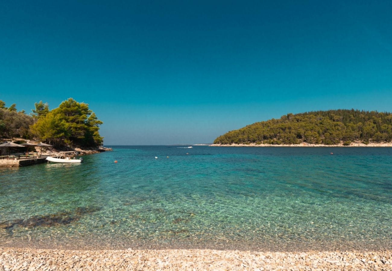 Maison à Vela Luka - Maison Robinson dans Vela Luka avec vue mer, terrasse, Climatisation, WIFI (3439-1)