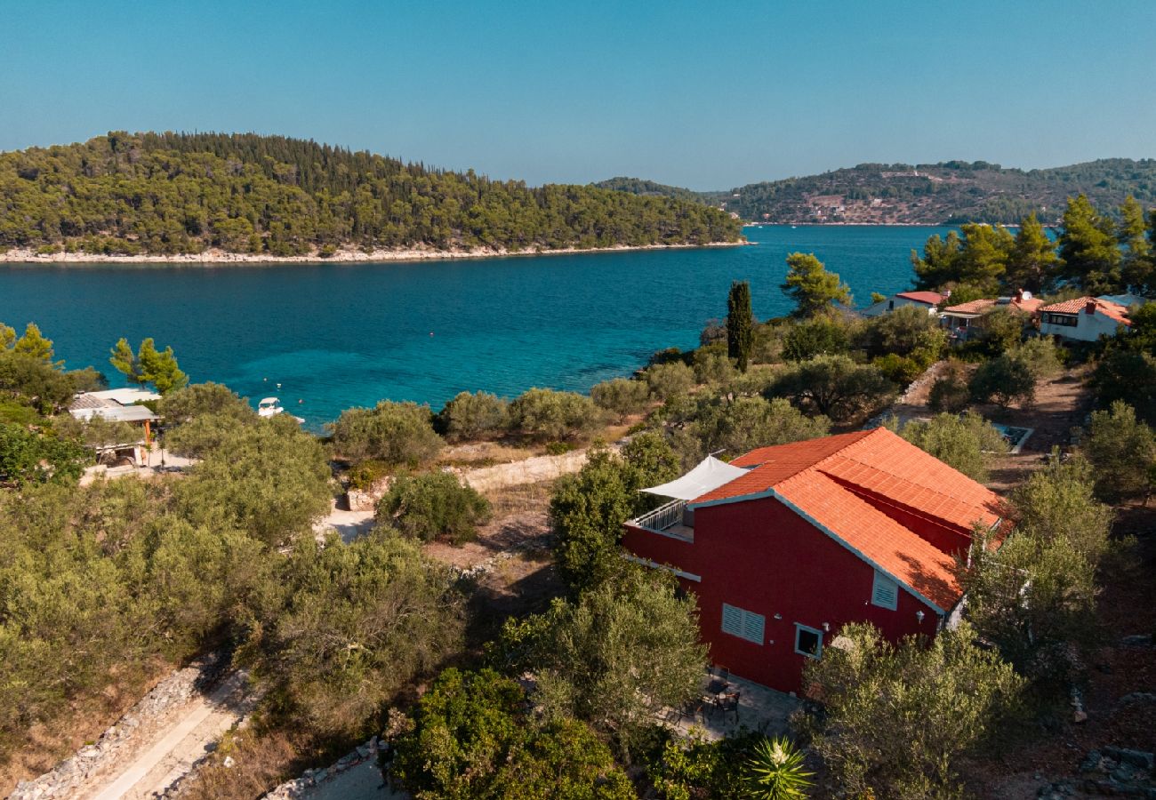 Maison à Vela Luka - Maison Robinson dans Vela Luka avec vue mer, terrasse, Climatisation, WIFI (3439-1)