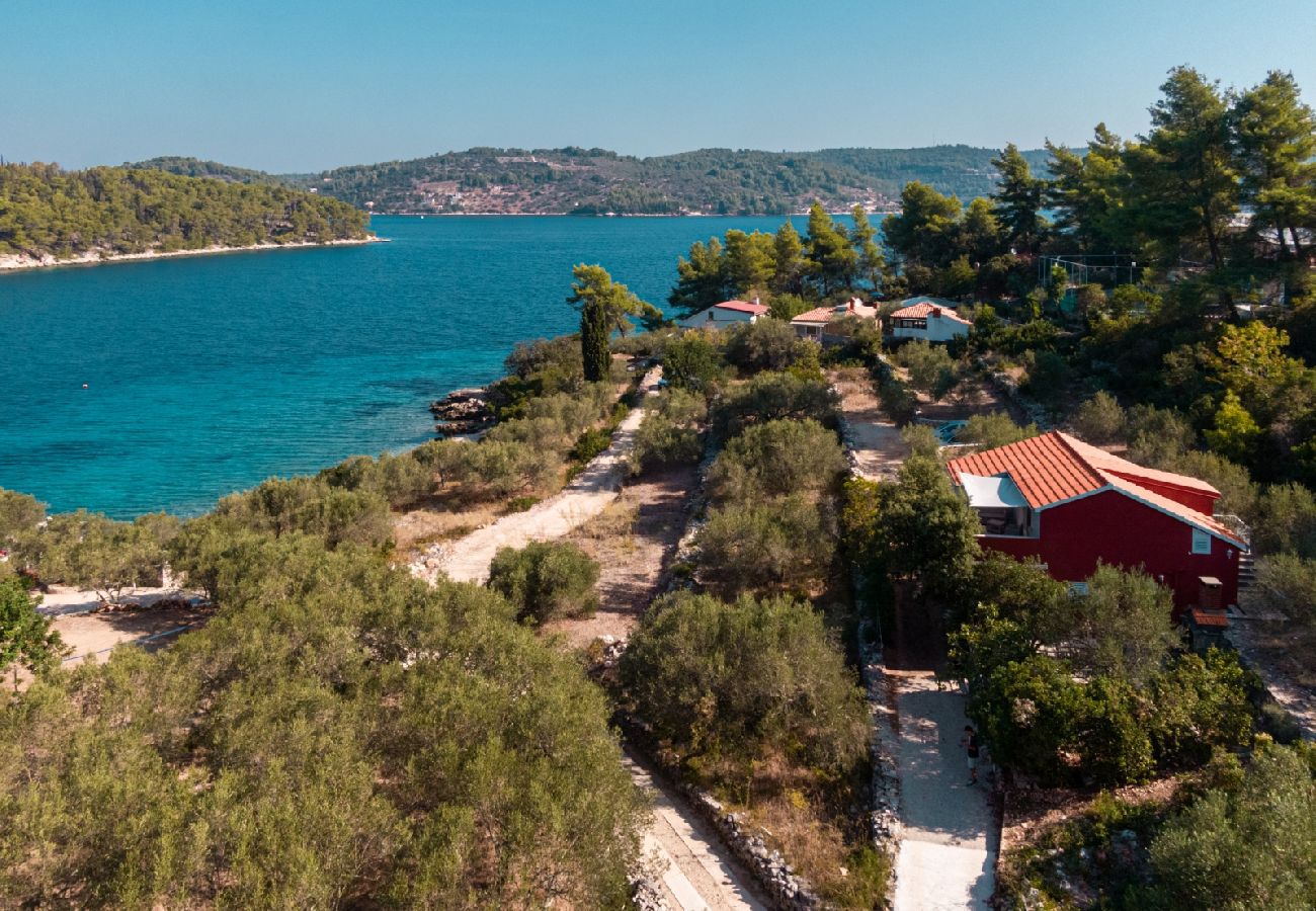 Maison à Vela Luka - Maison Robinson dans Vela Luka avec vue mer, terrasse, Climatisation, WIFI (3439-1)