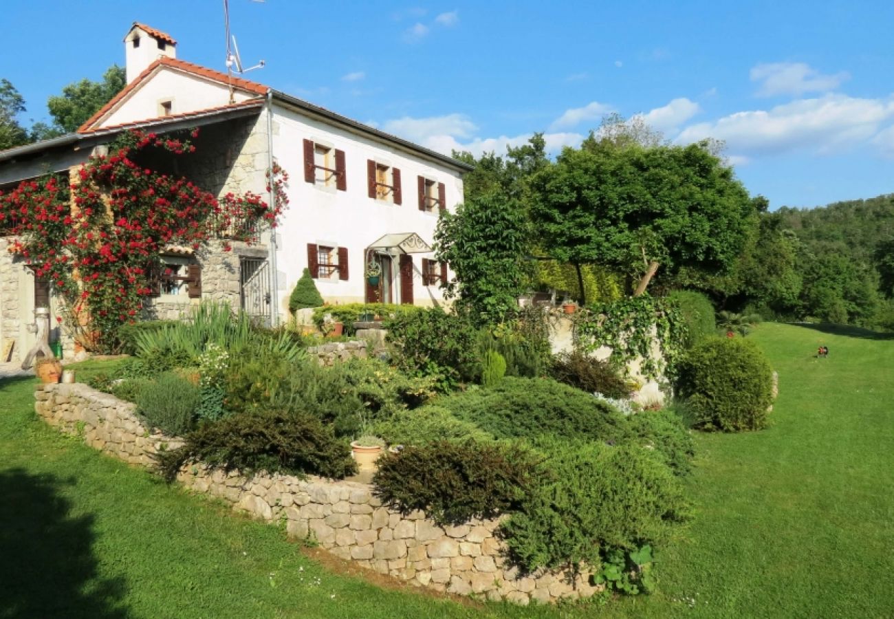 Maison à Roc - Maison de vacances dans Roč avec terrasse, Climatisation, WIFI, Machine à laver (3458-1)