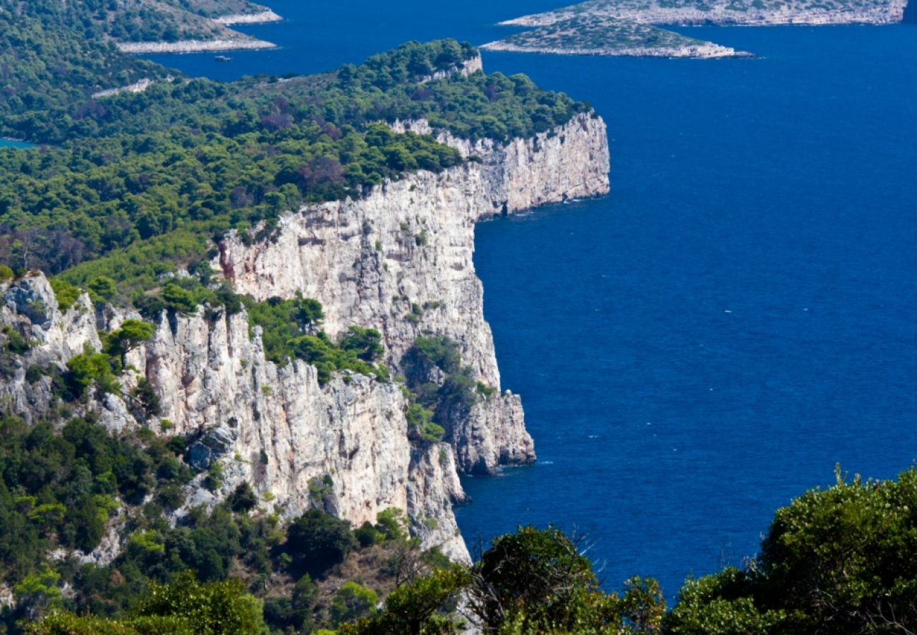 Maison à Zut - Maison Robinson dans Žut avec vue mer, terrasse, WIFI (3467-1)