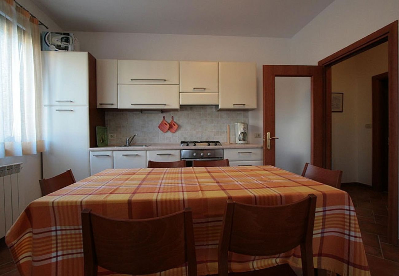 Appartement à Rovinj - Appartement dans Rovinj avec terrasse, Climatisation, WIFI, Machine à laver (3482-1)