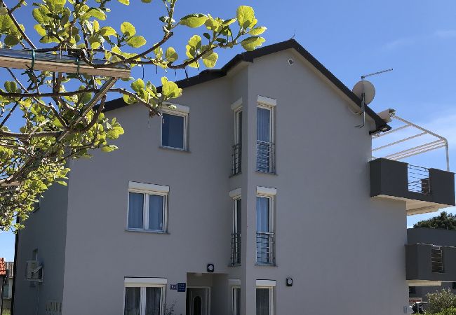 Appartement à Sukošan - Appartement dans Sukošan avec vue mer, terrasse, Climatisation, WIFI (3495-3) Appartement à Sukošan - Appartement dans Sukošan avec vue mer, terrasse, Climatisation, WIFI (3495-3)