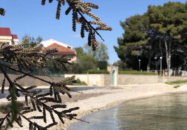 Appartement à Sukošan - Appartement dans Sukošan avec vue mer, terrasse, Climatisation, WIFI (3495-3) Appartement à Sukošan - Appartement dans Sukošan avec vue mer, terrasse, Climatisation, WIFI (3495-3)