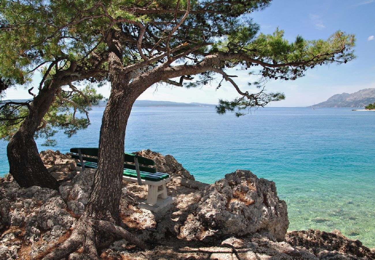 Maison à Brela - Maison de vacances dans Brela avec vue mer, Climatisation, WIFI, Machine à laver (3514-1)