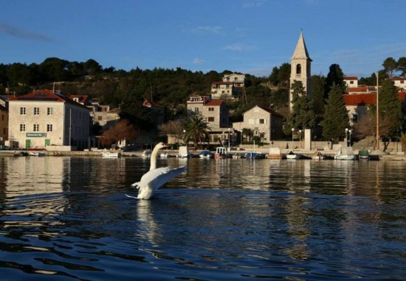 Appartement à Prvic Luka - Appartement dans Prvić Luka avec vue mer, terrasse, Climatisation, WIFI (3347-1)