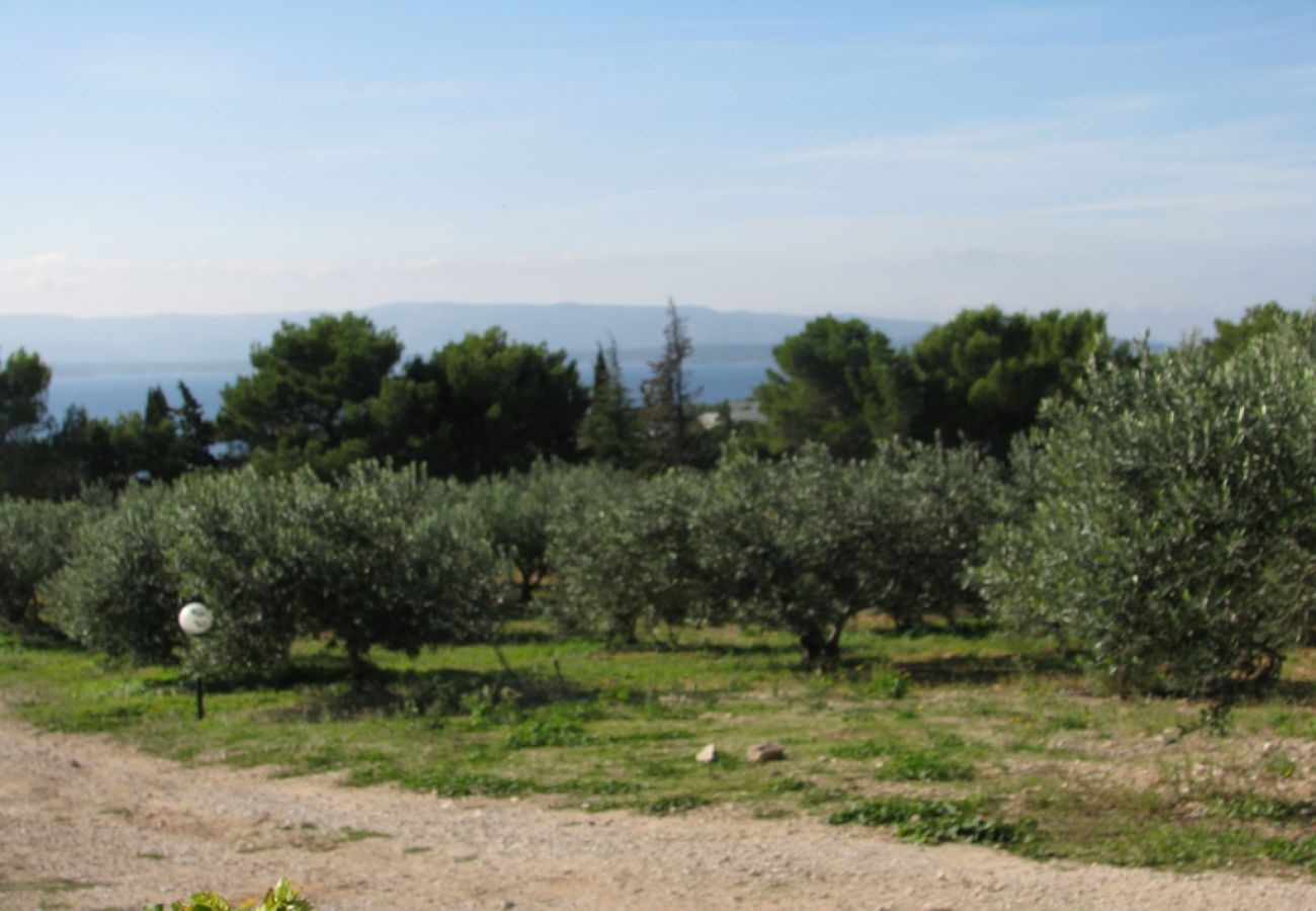 Maison à Bol - Maison de vacances dans Bol avec vue mer, terrasse, Climatisation, WIFI (3543-1)