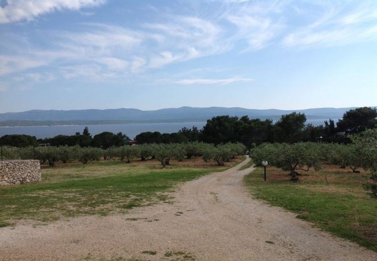 Maison à Bol - Maison de vacances dans Bol avec vue mer, terrasse, Climatisation, WIFI (3543-1)