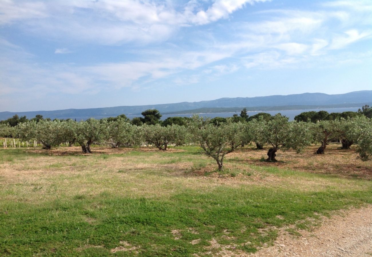 Maison à Bol - Maison de vacances dans Bol avec vue mer, terrasse, Climatisation, WIFI (3543-1)