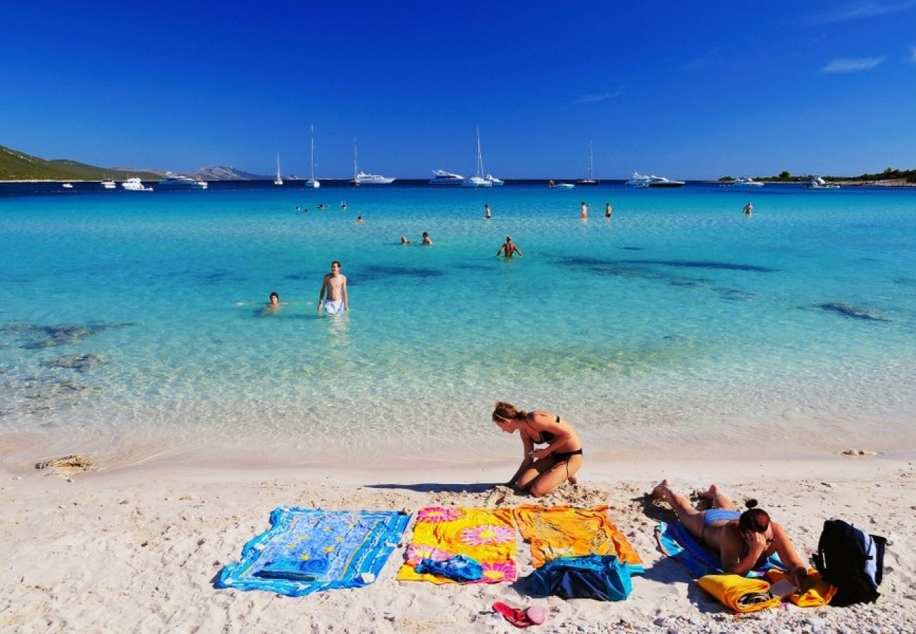 Maison à Veli Rat - Maison de vacances dans Veli Rat avec vue mer, terrasse, Climatisation, WIFI (3559-1)