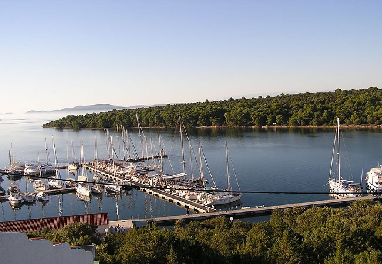 Maison à Veli Rat - Maison de vacances dans Veli Rat avec vue mer, terrasse, Climatisation, WIFI (3559-1)