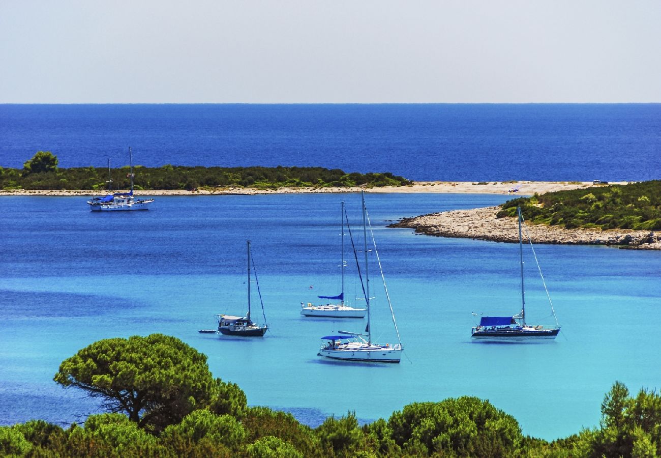 Maison à Veli Rat - Maison de vacances dans Veli Rat avec vue mer, terrasse, Climatisation, WIFI (3559-1)