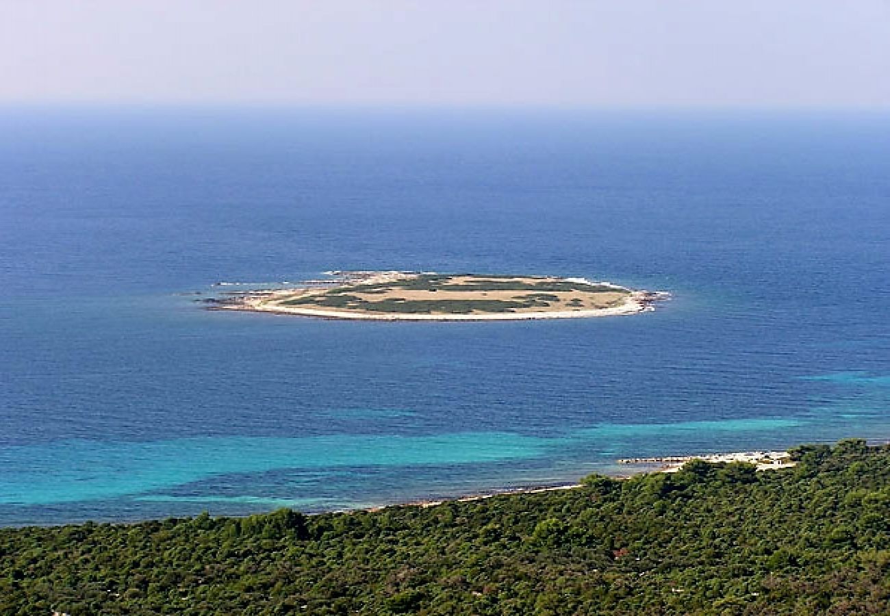 Maison à Veli Rat - Maison de vacances dans Veli Rat avec vue mer, terrasse, Climatisation, WIFI (3559-1)