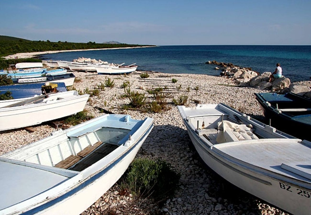 Maison à Veli Rat - Maison de vacances dans Veli Rat avec vue mer, terrasse, Climatisation, WIFI (3559-1)