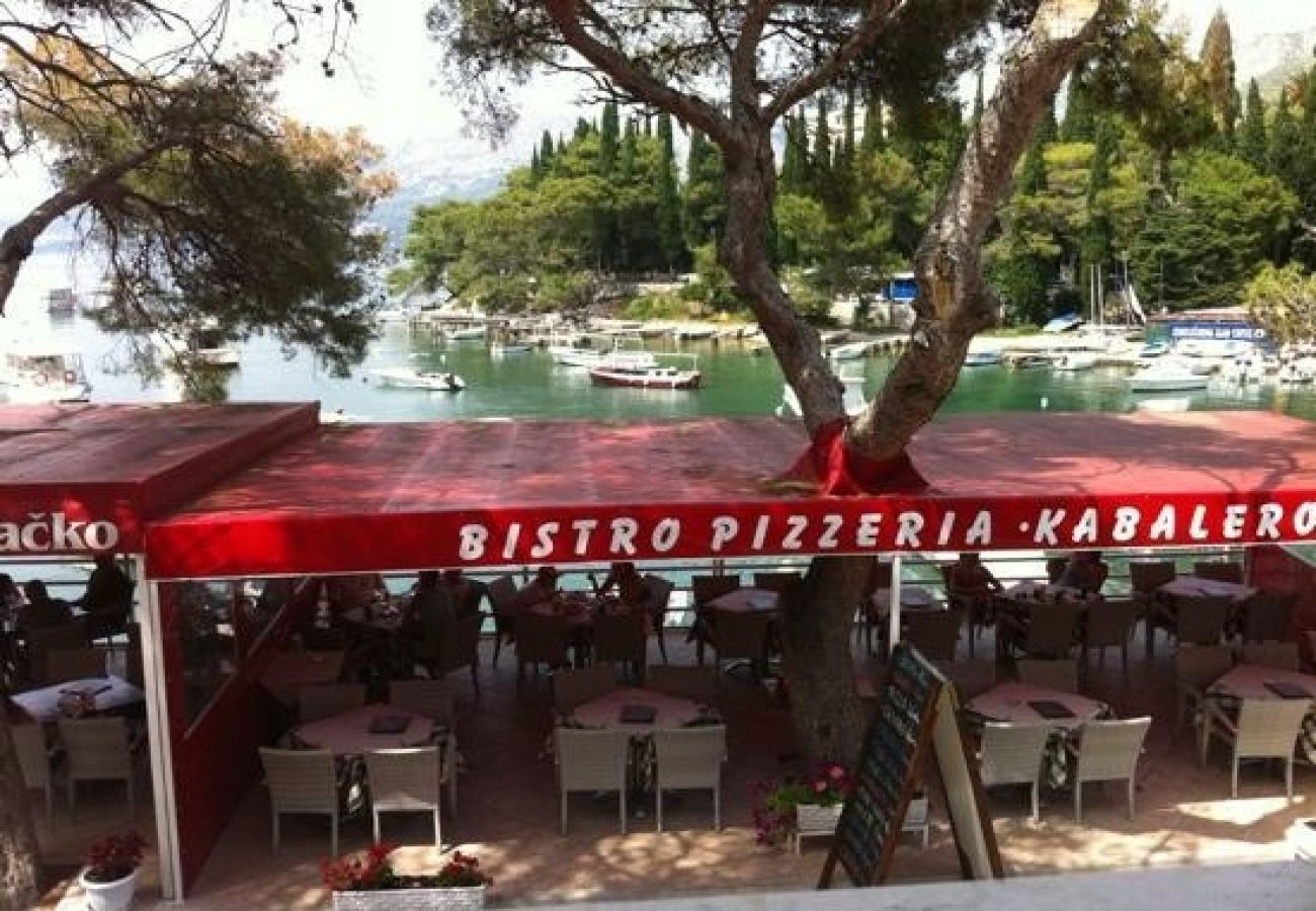 Appartement à Cavtat - Appartement dans Cavtat avec vue mer, Balcon, Climatisation, WIFI (3566-1)