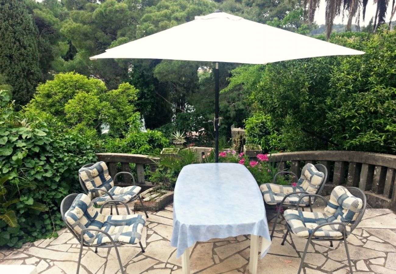 Appartement à Cavtat - Appartement dans Cavtat avec vue mer, terrasse, Climatisation, WIFI (3566-2)