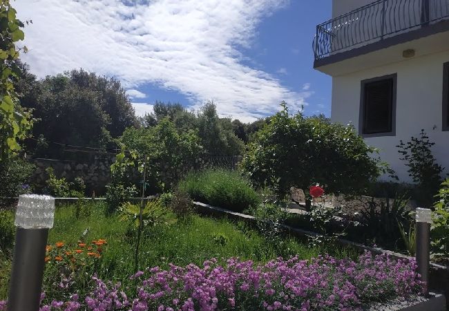 Appartement à Ražanj - Appartement dans Ražanj avec terrasse, Climatisation, WIFI, Machine à laver (3567-1) Appartement à Ražanj - Appartement dans Ražanj avec terrasse, Climatisation, WIFI, Machine à laver (3567-1)