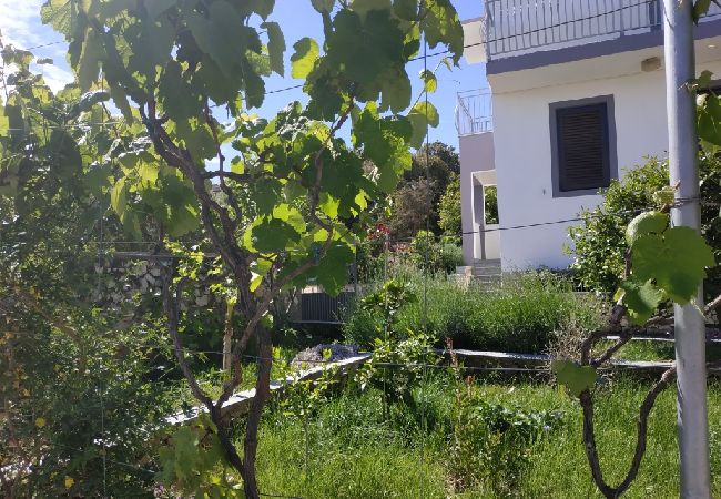 Appartement à Ražanj - Appartement dans Ražanj avec terrasse, Climatisation, WIFI, Machine à laver (3567-1) Appartement à Ražanj - Appartement dans Ražanj avec terrasse, Climatisation, WIFI, Machine à laver (3567-1)