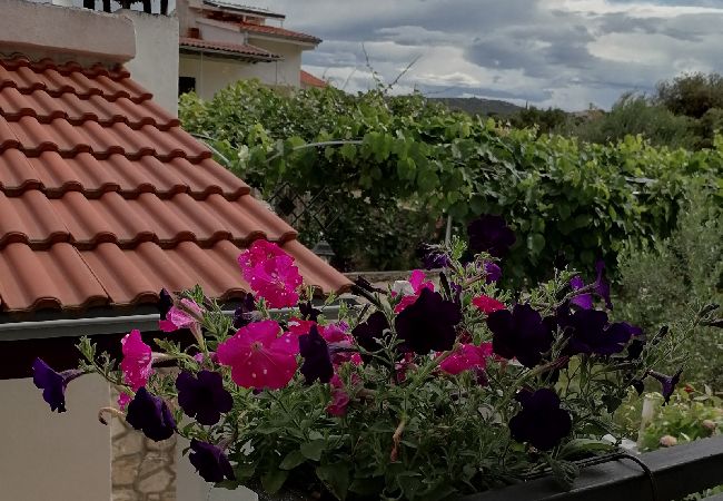 Appartement à Ražanj - Appartement dans Ražanj avec terrasse, Climatisation, WIFI, Machine à laver (3567-1) Appartement à Ražanj - Appartement dans Ražanj avec terrasse, Climatisation, WIFI, Machine à laver (3567-1)