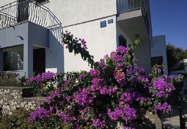 Appartement à Ražanj - Appartement dans Ražanj avec terrasse, Climatisation, WIFI, Machine à laver (3567-1) Appartement à Ražanj - Appartement dans Ražanj avec terrasse, Climatisation, WIFI, Machine à laver (3567-1)