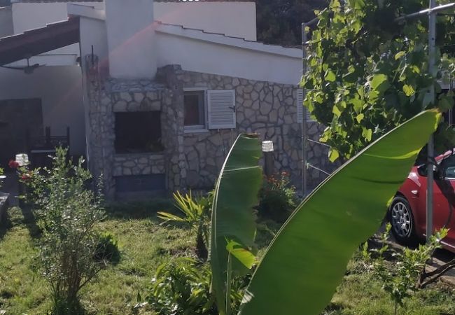 Appartement à Ražanj - Appartement dans Ražanj avec terrasse, Climatisation, WIFI, Machine à laver (3567-1) Appartement à Ražanj - Appartement dans Ražanj avec terrasse, Climatisation, WIFI, Machine à laver (3567-1)