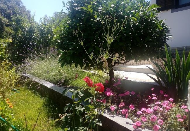 Appartement à Ražanj - Appartement dans Ražanj avec terrasse, Climatisation, WIFI, Machine à laver (3567-1) Appartement à Ražanj - Appartement dans Ražanj avec terrasse, Climatisation, WIFI, Machine à laver (3567-1)