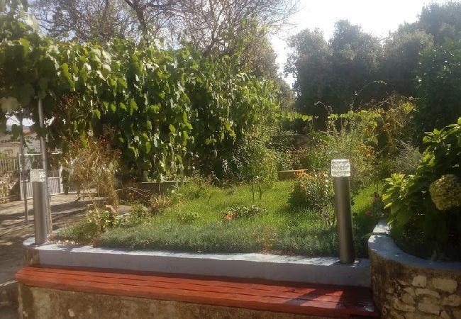 Appartement à Ražanj - Appartement dans Ražanj avec terrasse, Climatisation, WIFI, Machine à laver (3567-1) Appartement à Ražanj - Appartement dans Ražanj avec terrasse, Climatisation, WIFI, Machine à laver (3567-1)
