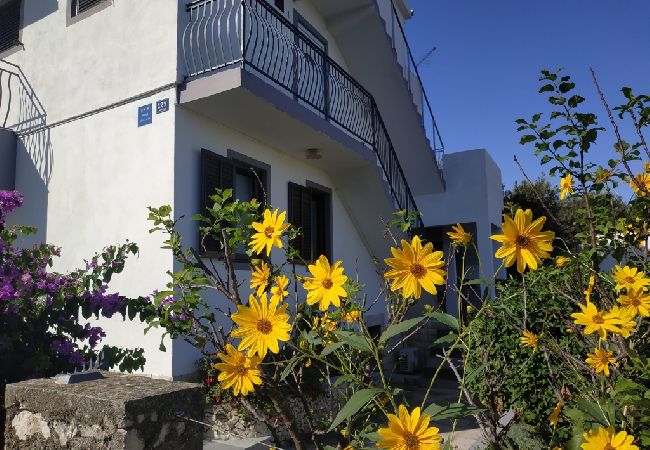 Appartement à Ražanj - Appartement dans Ražanj avec terrasse, Climatisation, WIFI, Machine à laver (3567-1) Appartement à Ražanj - Appartement dans Ražanj avec terrasse, Climatisation, WIFI, Machine à laver (3567-1)