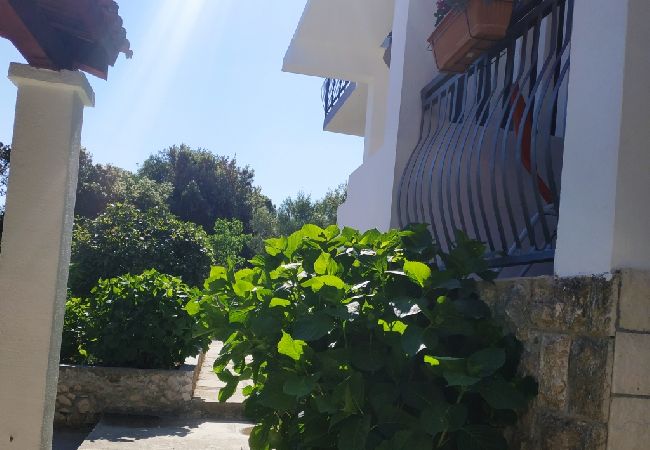 Appartement à Ražanj - Appartement dans Ražanj avec terrasse, Climatisation, WIFI, Machine à laver (3567-1) Appartement à Ražanj - Appartement dans Ražanj avec terrasse, Climatisation, WIFI, Machine à laver (3567-1)