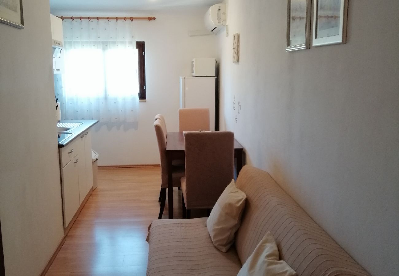 Appartement à Privlaka - Appartement dans Privlaka avec vue mer, terrasse, Climatisation, WIFI (3591-1)