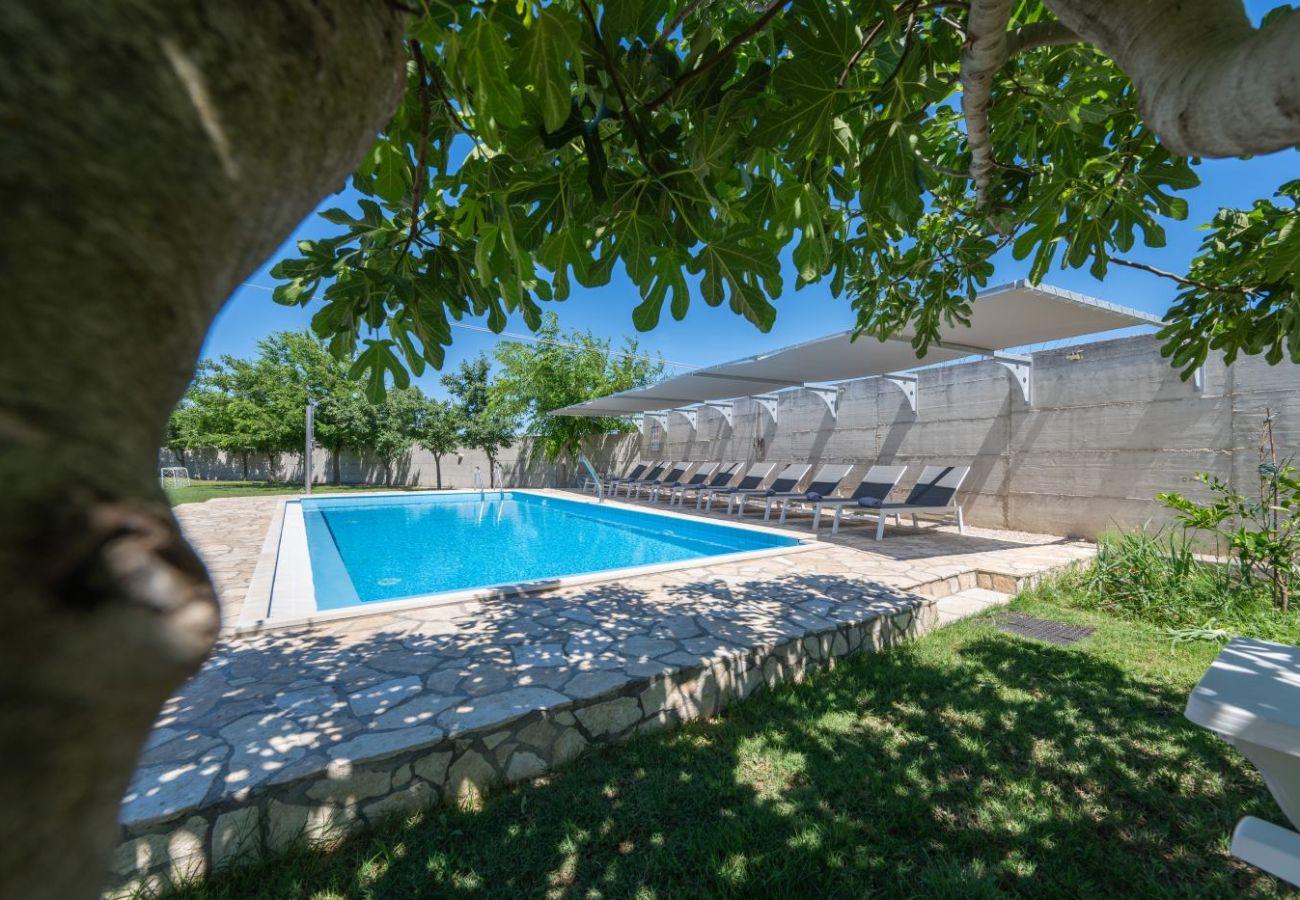Appartement à Privlaka - Appartement dans Privlaka avec vue mer, Balcon, Climatisation, WIFI (3598-1)