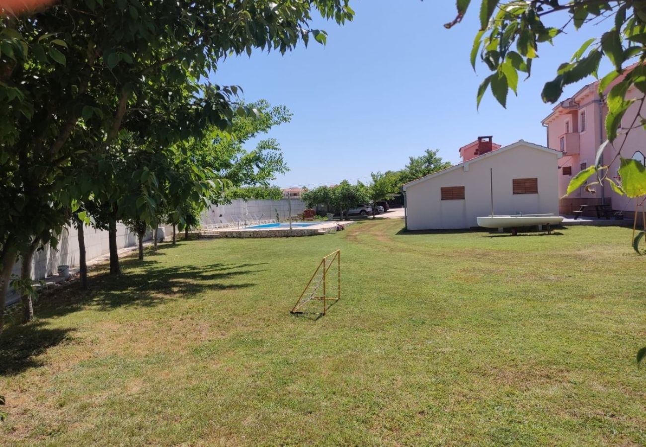 Appartement à Privlaka - Appartement dans Privlaka avec vue mer, Balcon, Climatisation, WIFI (3598-3)