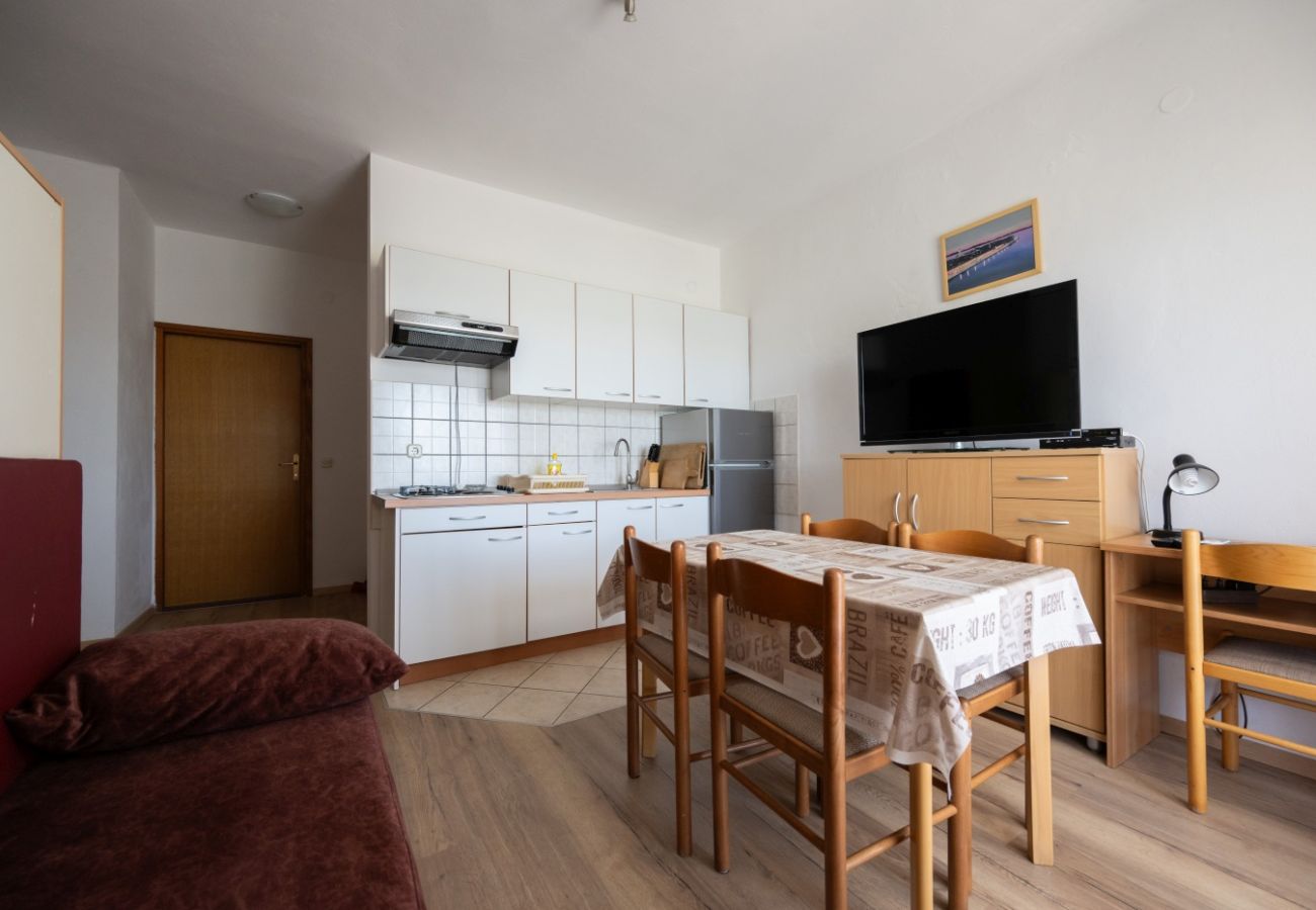 Appartement à Privlaka - Appartement dans Privlaka avec vue mer, Balcon, Climatisation, WIFI (3598-4)