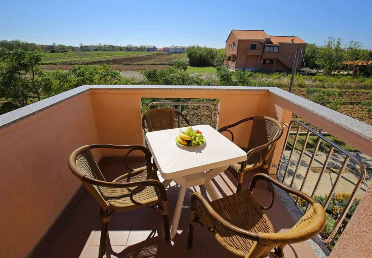 Appartement à Privlaka - Appartement dans Privlaka avec vue mer, Balcon, Climatisation, WIFI (3598-5)