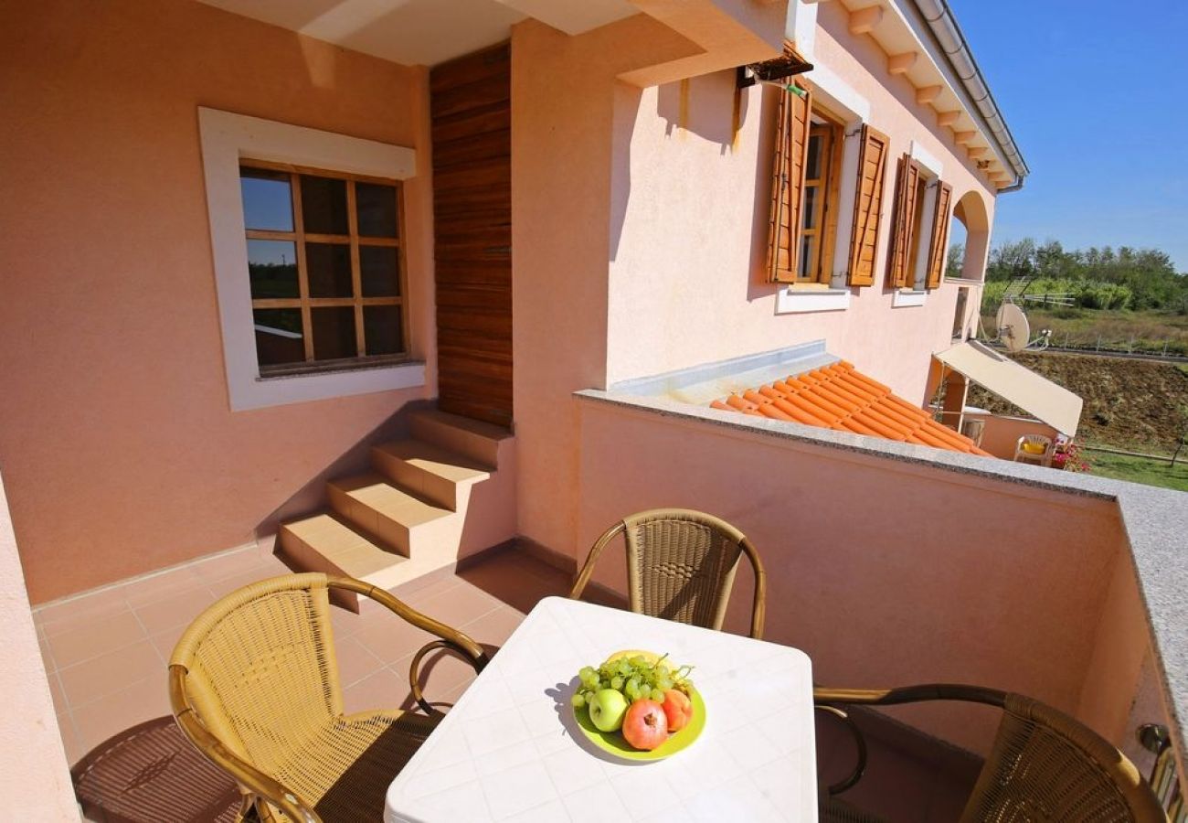 Appartement à Privlaka - Appartement dans Privlaka avec vue mer, Balcon, Climatisation, WIFI (3598-5)