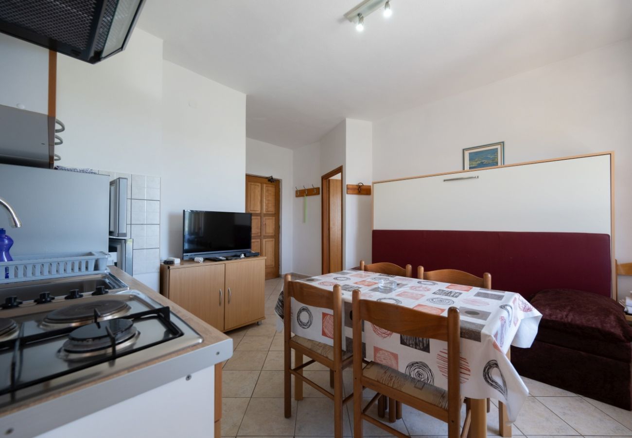 Appartement à Privlaka - Appartement dans Privlaka avec vue mer, Balcon, Climatisation, WIFI (3598-5)