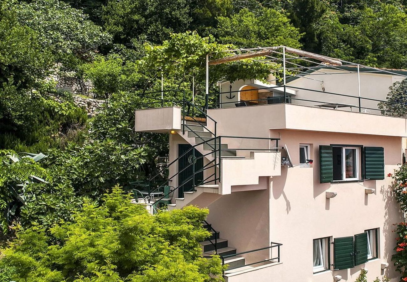 Maison à Drašnice - Maison de vacances dans Drašnice avec vue mer, terrasse, Climatisation, WIFI (3586-5)