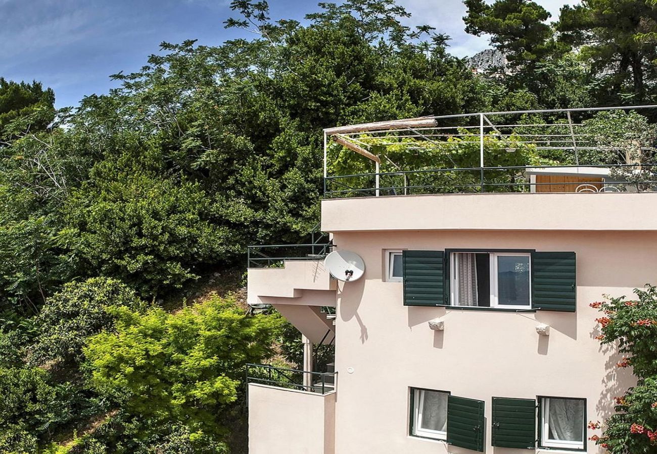 Maison à Drašnice - Maison de vacances dans Drašnice avec vue mer, terrasse, Climatisation, WIFI (3586-5)