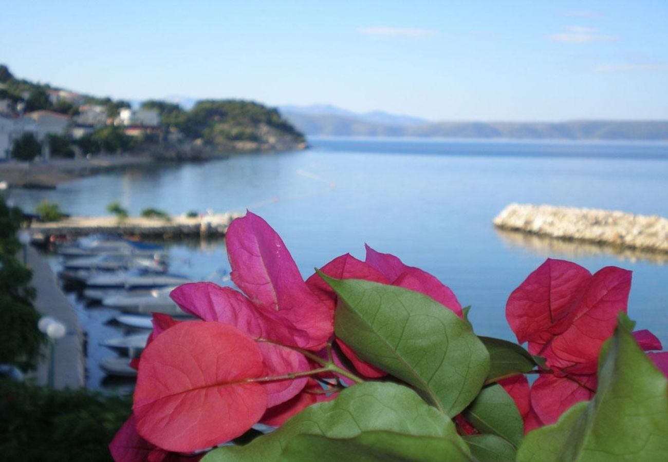 Maison à Drašnice - Maison de vacances dans Drašnice avec vue mer, terrasse, Climatisation, WIFI (3586-5)