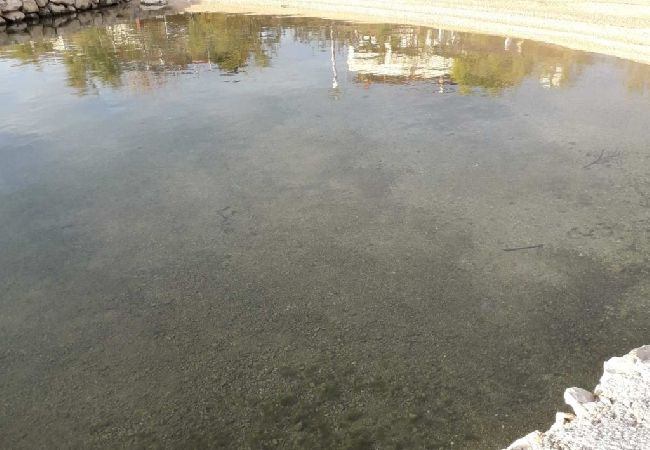 Appartement à Kustici - Appartement dans Kustici avec vue mer, Balcon, Climatisation, WIFI (3597-1) Appartement à Kustici - Appartement dans Kustici avec vue mer, Balcon, Climatisation, WIFI (3597-1)