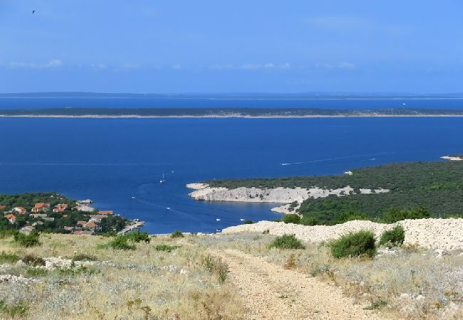 Appartement à Kustici - Appartement dans Kustici avec vue mer, Balcon, Climatisation, WIFI (3589-5) Appartement à Kustici - Appartement dans Kustici avec vue mer, Balcon, Climatisation, WIFI (3589-5)