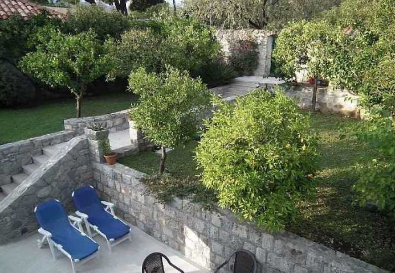 Maison à Cavtat - Maison de vacances dans Cavtat avec terrasse, Climatisation, WIFI (3612-1)