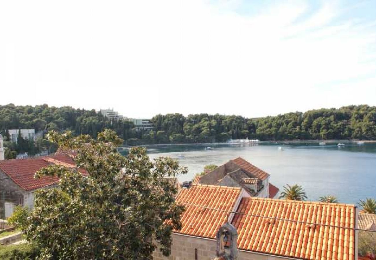 Appartement à Cavtat - Appartement dans Cavtat avec vue mer, terrasse, Climatisation, WIFI (3612-2)