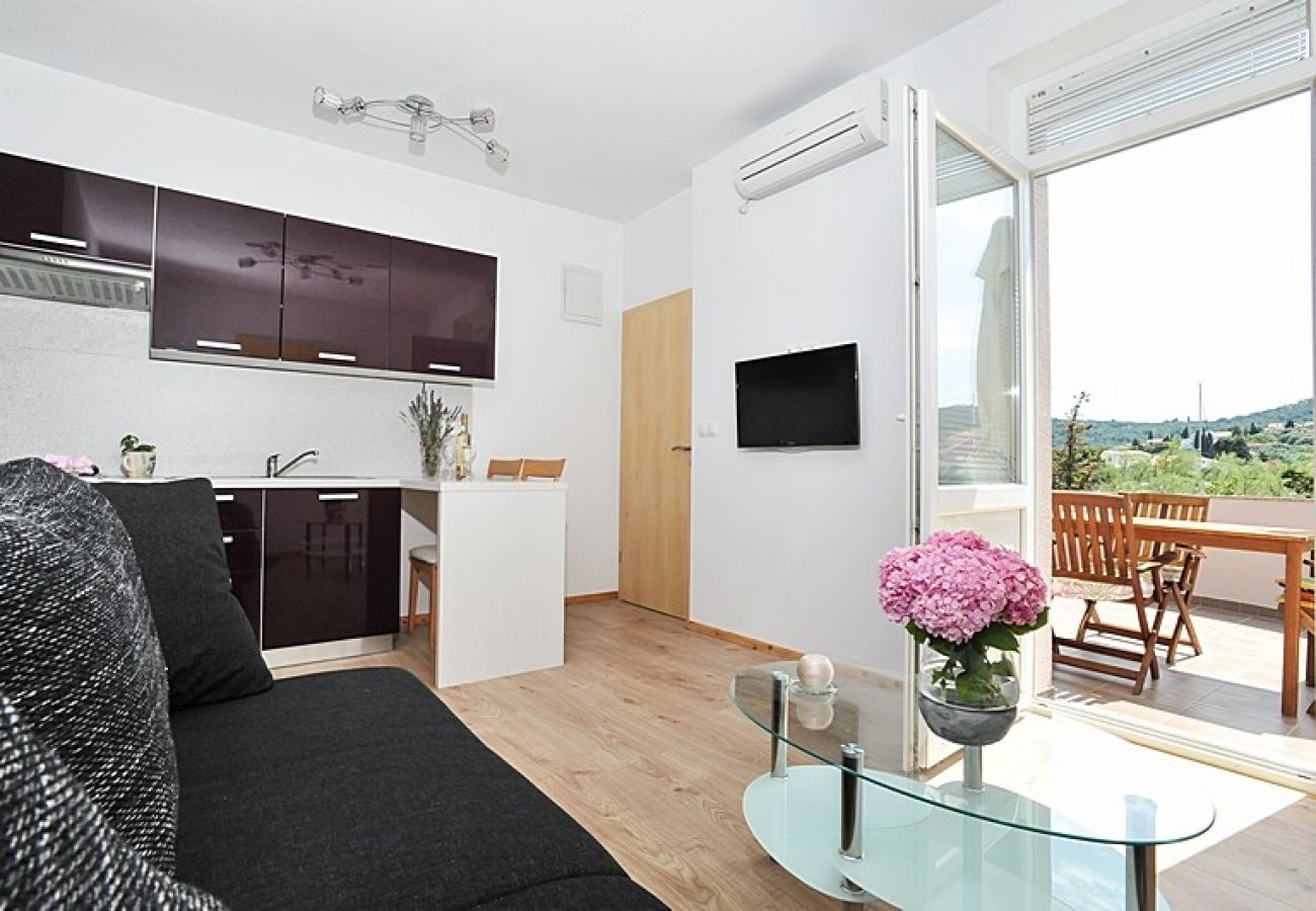 Appartement à Poljana - Appartement dans Poljana avec vue mer, terrasse, Climatisation, WIFI (3617-2)