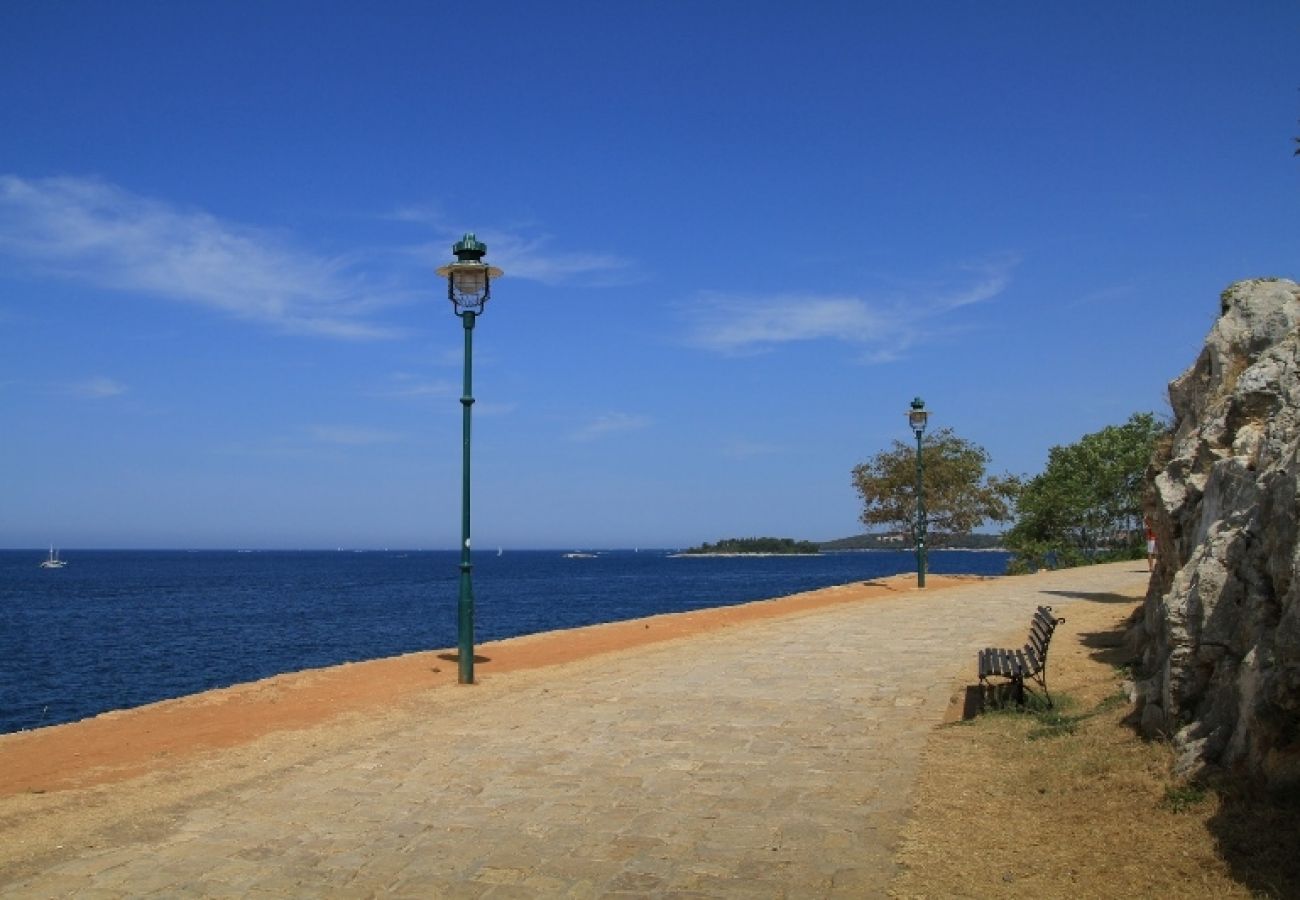 Chambres d'hôtes à Rovinj - Chambre dans Rovinj avec vue mer, Balcon, Climatisation, WIFI (3631-4)